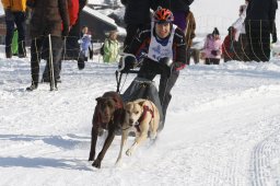 Lenk 2012 SM